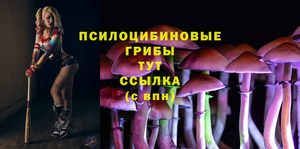 героин Заводоуковск