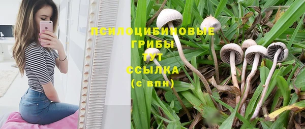 первитин Заволжск
