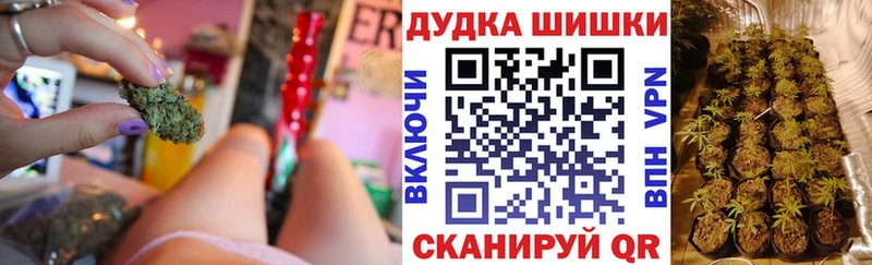Каннабис AK-47  Купить где  Усть-Джегута 
